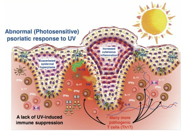v7CPFQLT5thFtIriKdAd0kCURz2FAo9VS2giy4GYKPbqMlZKMmUgU5af8pyW1C-38Hq6ieq0T9aIf5CjvVqjIZSKSHT2lSYFeWhf2Oa7X8bckOwDUq1-Lr8pQSb5ZoQaGPcZ0_Qs