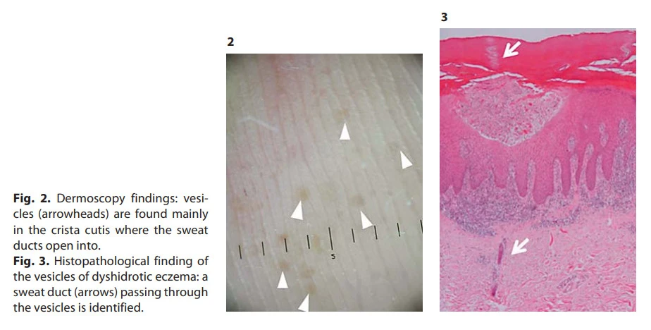 W8KICKL9IE1aD3PVs2zloRIEubLpoorJfeEbCDf0aOleOygJ5X3Vg0fw4c_AJH4xwkgRv718uqFTBsjjcO8HdqDfpmR9HOYJDbew7lIiP7pZpK397Ttll4P0_gtL7TNHLXXUwbaN