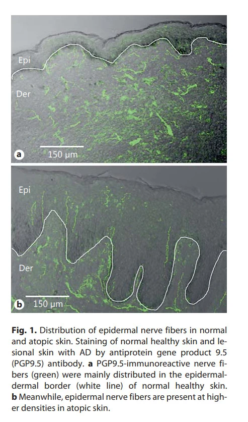 OZtNn94rffSm4kcZd3bInWi4clRE_tv6djxZqtvjU_8VDmwa_E3tfZ4U7IR087BgRTdVb_duqKbwRazfatFVA4am-v6RHP9EKk_ULudm3JQgViDKwhQjFPL6JbhbljFCq1or7m7z