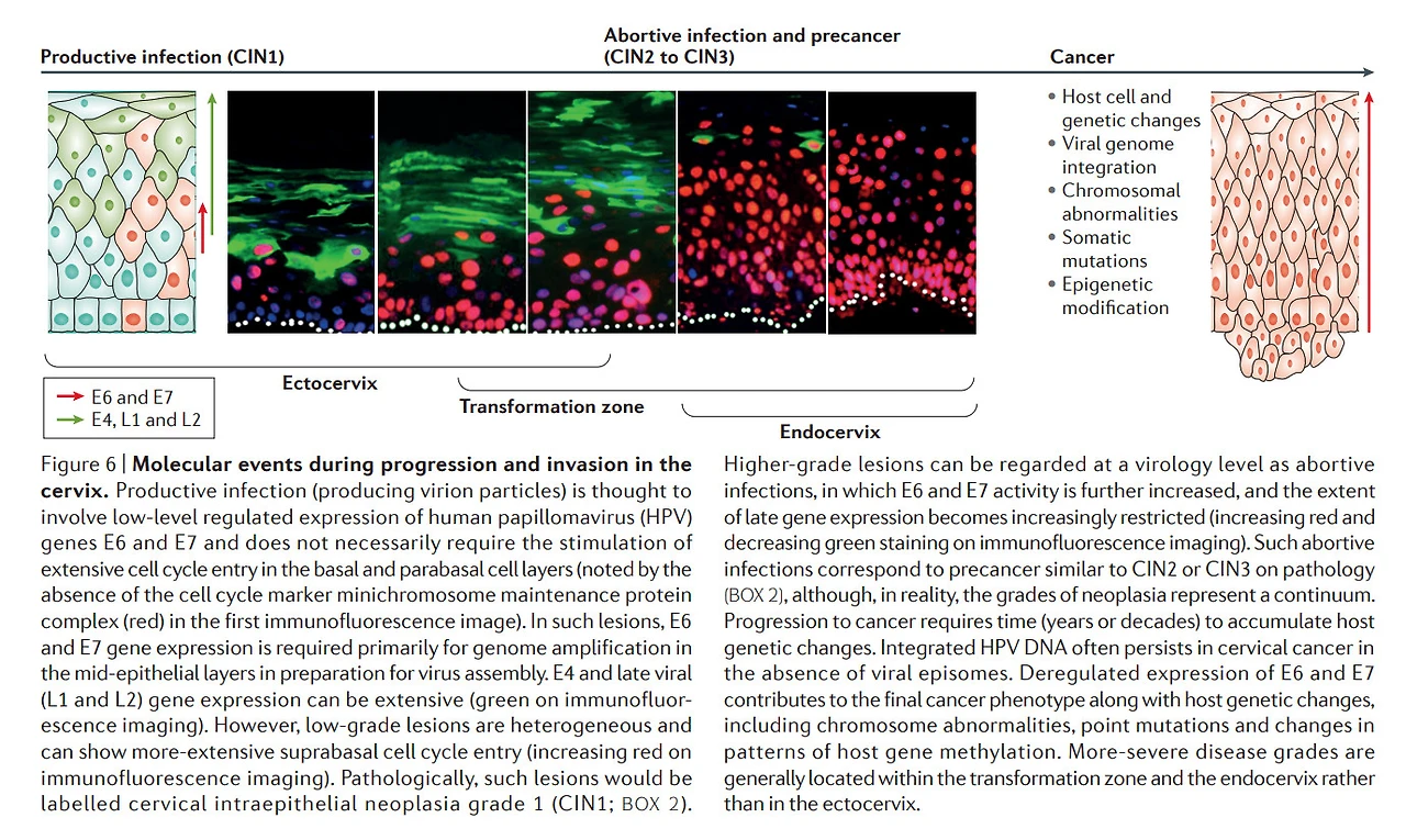 BDrDq_ylcsBDKqP4Rt-TBMGEEdgmCY6sLu4iGM9DDGCteIx6o55fZr1q2iYC4hUvM510c7HEPWB4tZuqs6pS-6mGtzlrTkOrN3Pgod8r6Rrka49L3xsuBuTkxiAsI9gRV3nsvrJT