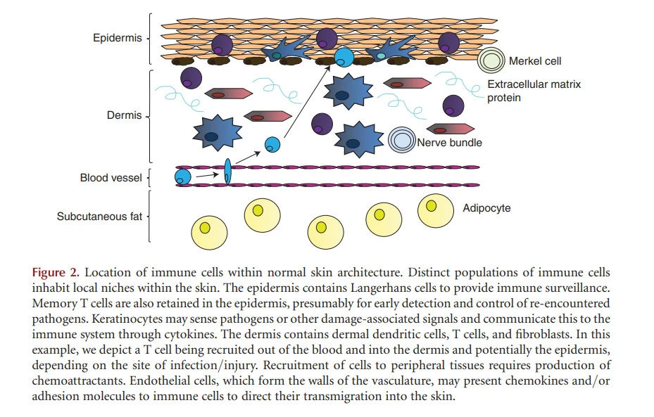 ofjitMJ3byh_fPaAVdDYZLsL92trVf4QeUkeoYNdhpUEwpQfFwU7fbbVahzMGEco8fj63fCkOLOt5lzmUX7kPAuxLgCDNthg612xtxgCLZR2FBnYccbI3f8FPEGgmsLMsjXMWja9