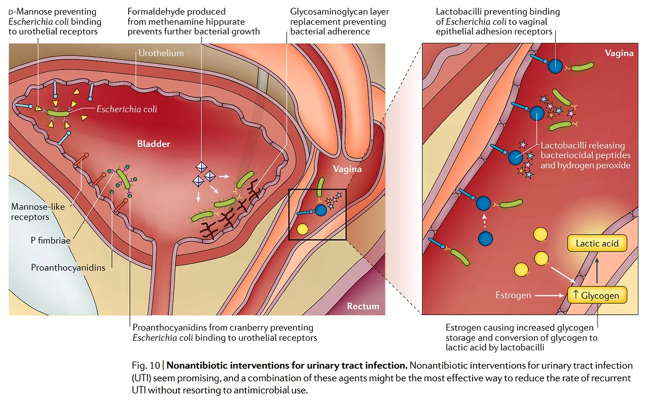 wBR0ePaV862BDGnqVGQoUkDtlackiqEgCcNOdW7SNp2l61-SMizWx3lIDwiqA677A5TV170RHC01Cq_kfBXWZ5OZtrsMQH_TjfPCAkAT5MP_CUsMv4HTj9nqHlyQ4sTGZk4RwdmW