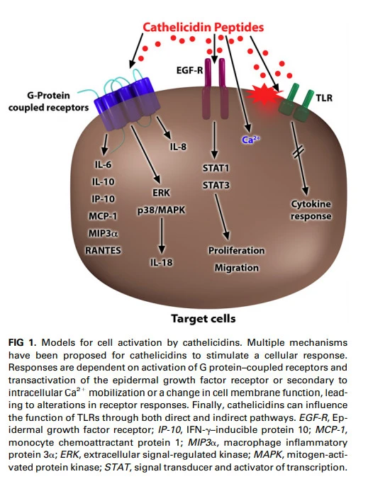XDb9_kEchG_KoQuAPrzQoAO5Re3vZbTo7a0I74Tten9I4X5qDTJahSdCsnHMPPs1PdkNIIwMzy5k2y23pJWFYQZ0RWdIndfTzBfensWPHmMATHtHLT9k4fDzXdojyomhT_BKCGCM