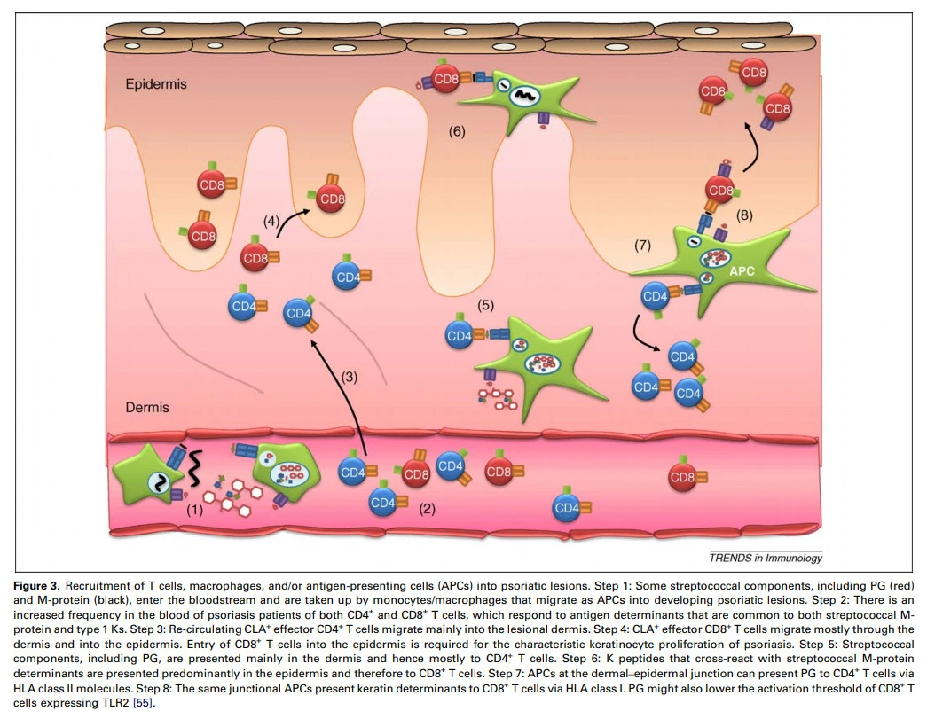 Tk5NJlYDz4m_FPKvssJatbppM_1uPGl4a0iwkvmS4b36QwUP_h3Yso0DdeCPhpZ3UXxA3Mar-h4AWAX9MJDY5lWnz1exQ-4ih62fWoRVuImmZZ1Ld2sXC1RvfVquImJiUhzSen2O