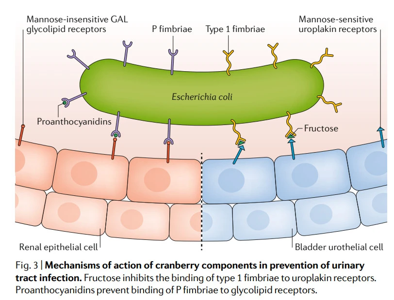 14STcfSKJoyvUKcUiulkiGJlK7TStKgD4NpElRZTtauFsVFFLtVPlJHw1iMy9tSAOMuUbl3jB49k9QaNWIXFBB0vasSdhB6Qk8lvBkzrrvfgOk8gU81OkESL5P2IGW1luTG4Uz10