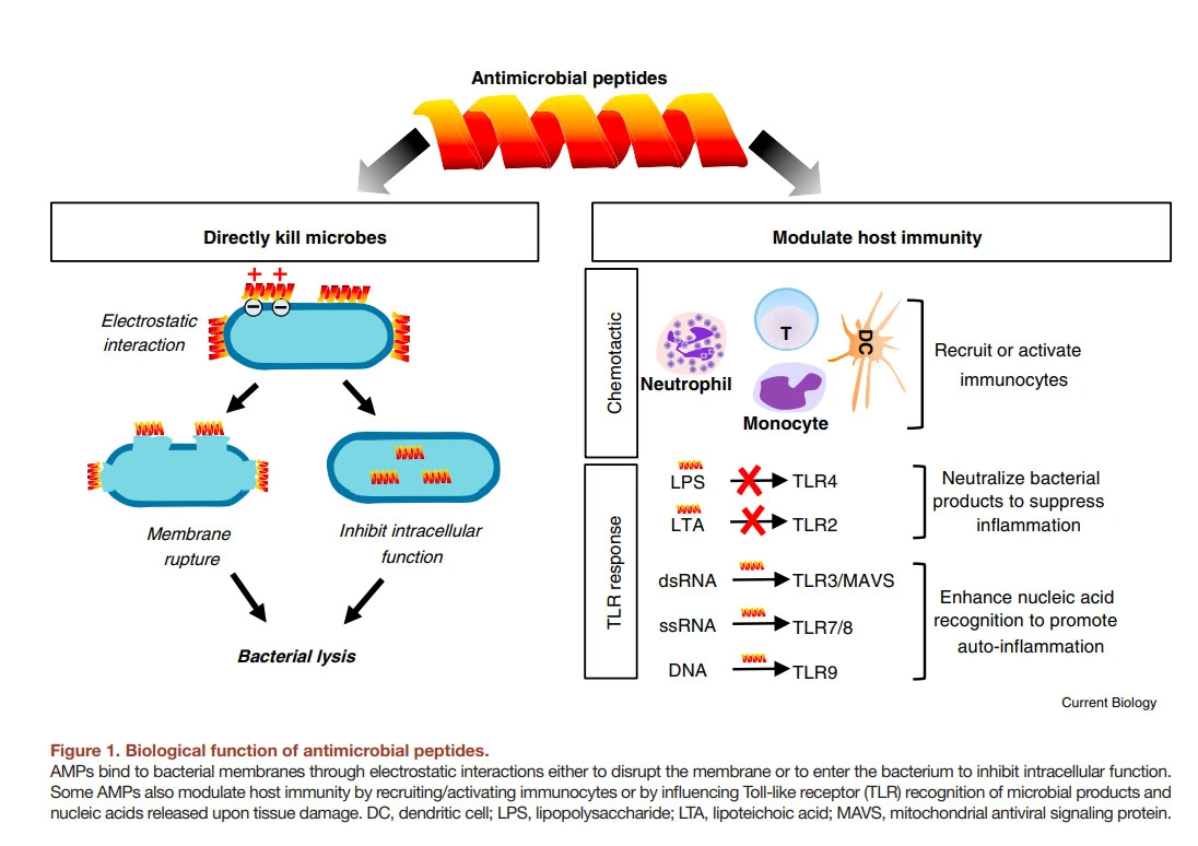 AC-eCtOAsJsFTtd0bPujV06ezEmrIOCxeRgQ2gv1oZ74NqFSNIOSw3_KnV3Ni_70ewBHakMi6RF7L8qrgybdbJIITmuI6VKJkcGwR20DWUIGat4nnCMF4jSkpCPzgyRLlsKv_kfh