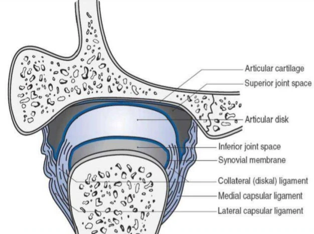 ST7jdvdtrWQEX0rr6gpDRqQ5R9MYfVtrFKS9xL35tl1spbaxxbiNeElWwBdqHcr2EsUbJxcIXGZc89kODFq-r2vw9Q8a3vZF_6rr573_802kVtqILwM4gKc9IQUwrjIzcCynOPiF