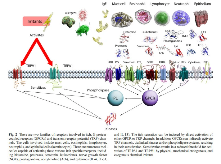 2DDi0fZDaVkEMVw4xiPjmnOeOH3-QW2a1lLfoHz1YBeIqLoJjwOSWvaSTEJe6LgD5wHcfcuTn5byqEZzaSOm7n3l4s43ZL0QxRmExSDT3hCTUHyFTOb212Dh7Nl6Vg8DA3S0mzYj