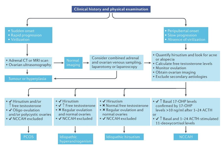 gTP4R3Oj9AYoXm2PdztMiL5Z4P0ycprtsdtCOs2rZzd0D3YUDPNQzhRIim7GdkawkmG8BjRDUFwCs8PIqdSYT7I8WXADTbOJSaKya0RTqwcwabAH99cjoQTIcVuXbssvulkW-qX4