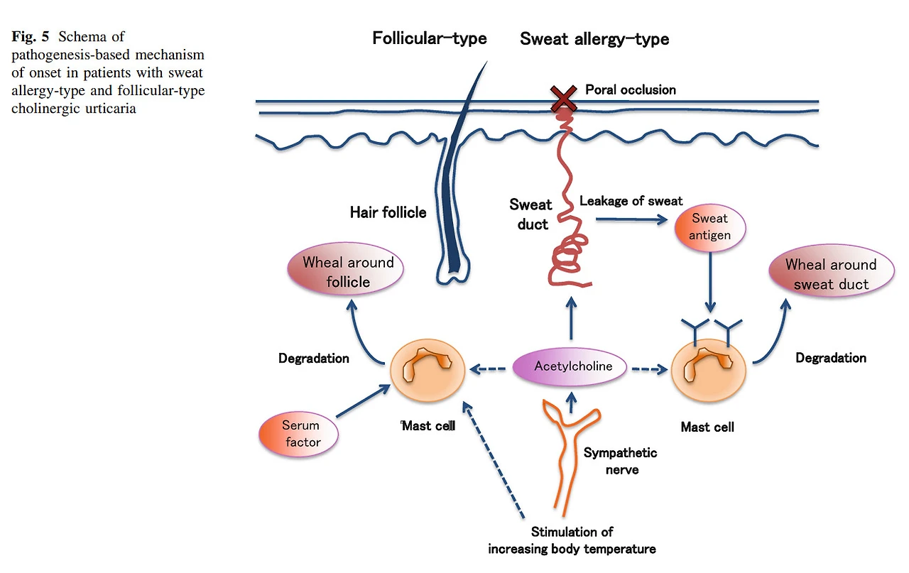HLCDnqXl8nYUWItGT61fFzckqSGtcrPMVmDAKRuaPt8Fuc778vebf2UIyTLvlOVRCuVc7WJBGUrudUgLzGS-XokQkzzPZ4Pp6QX_j56PqRig5os-omtMtqtRGvCWOhtoHqCkCnfD