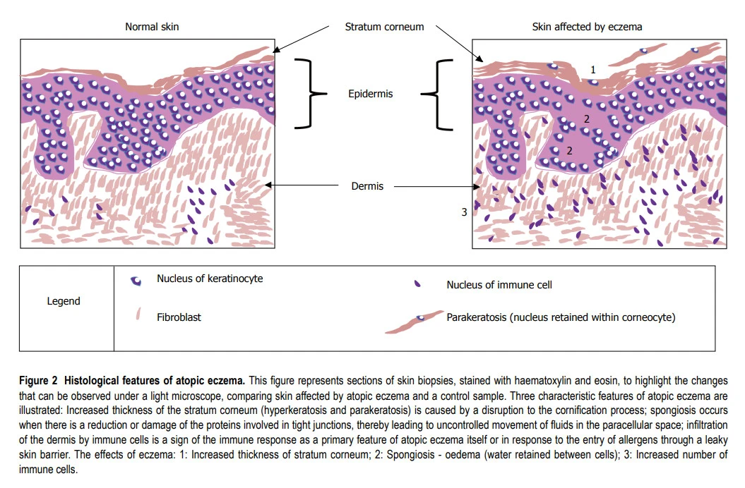 xhPb39Lqo9ICXcWgGUbQUbEiIbbl8EI0_Es0BiINTmrXEdyrAEC2MiLgK9Hw3IXOiwzeLGfdkmRMF2mnnEsBczUbJ5plJfBNB3ipBF3__72Mxq_QwYMd-Iyhrotfzd5zI5lh0FZm