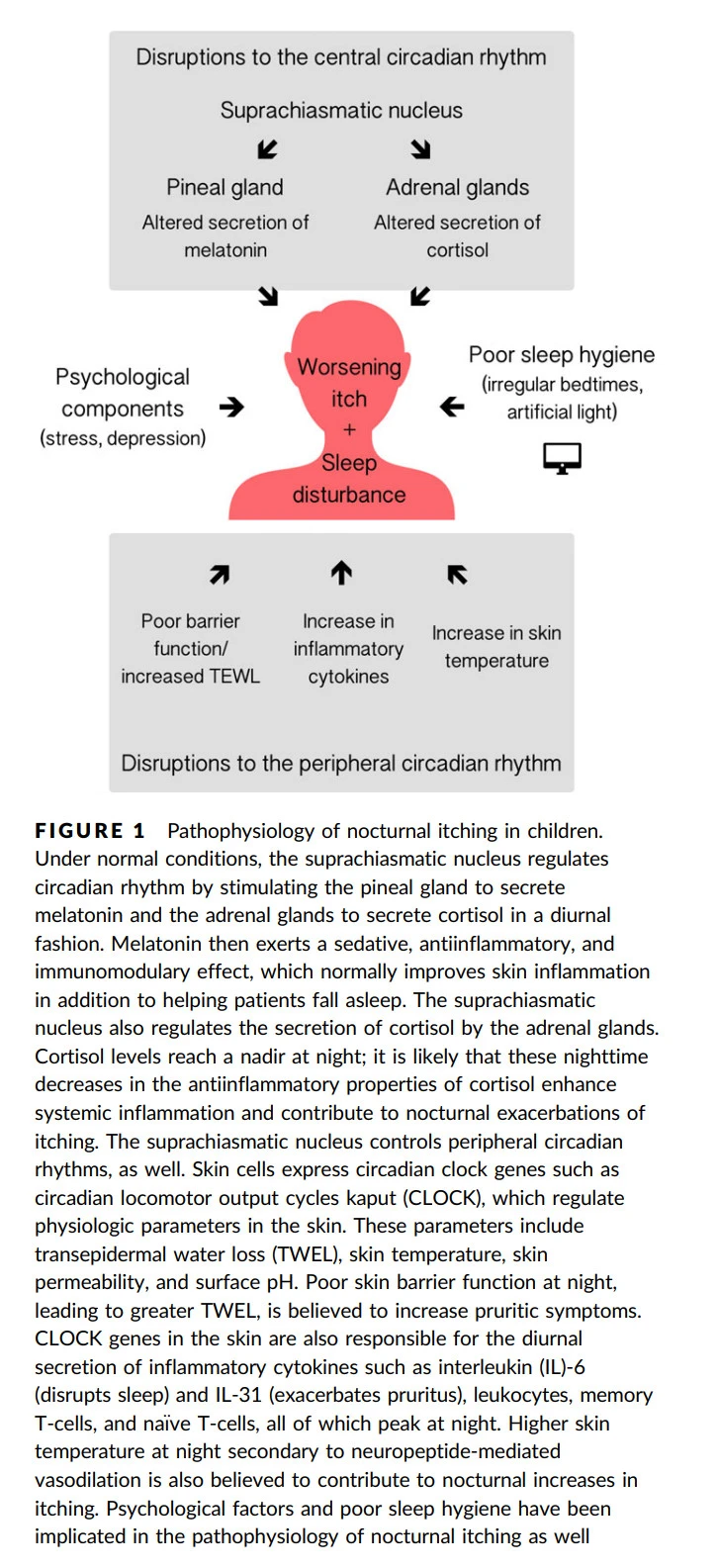 9YluVKOj1-qGr9Bx_DNgZAqh9w_K-EX_6Ql97gb2XRSOrU_Oe-ZlI_BVnp11lU1uzV4pqC06rxuHp1r1r3ai6vCemLRxgokbQk--y27g_c3ux8m0J1sYIPFGSzqJ3SU0-rSv0XVS