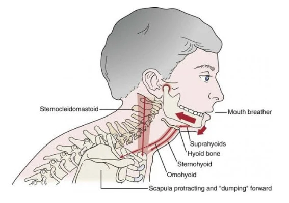 oXoqkW6rqDzYxkegfCXa5Qs8YigPQ8cLXfE9IXuQTNDCTKIFEw3A8SBNyLrCdQKGjnAHPgozIH04f8uZg0sTiCvTrxeHHWZ8z_OyJP81AkUrDZJZZTyOlsINz7zFS__h2KL164l0