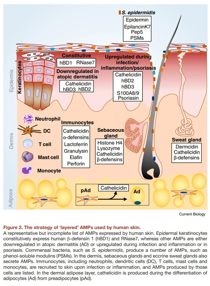 rPrtlbVDGx05l6-XNkSFdsHzmEudmd-VSAnAFX8atfTQ-zV4_XZqit9Y-S47mkbFD4mw4y2sX4pquvRlVlwVyGJ7wg4WQ_jd1KlAsJVPzR9lP1j0-Va7RGuNEW6agLoPUzlRrXX6