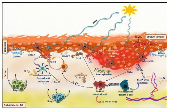 p-62SNeygIpDB27ynidum9KWFNdOuSZHZGMaEGBhD15CYBdIBoJIWodw5IBWuh0rxV1bzQdGK1Txs8J7hOPgwTZayRWg0lPJbQAyQ04I5WeScSAMs2r5SUkh-jkUoEtAEubBc7_K