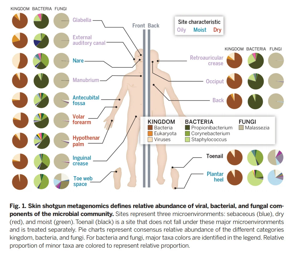PU3rMgWCnSrp83KWzP0Txdz62hIVVIX1LJLfaZ5ZTX6mw_AMEhGKTCBP42Mqp4N4zhwIRAqFH8pLSoHRX2ksXyv5mEMebW3s8aXNkoCHD9H9NZ-npotp84le5a0y_Yhfa0w54T_2