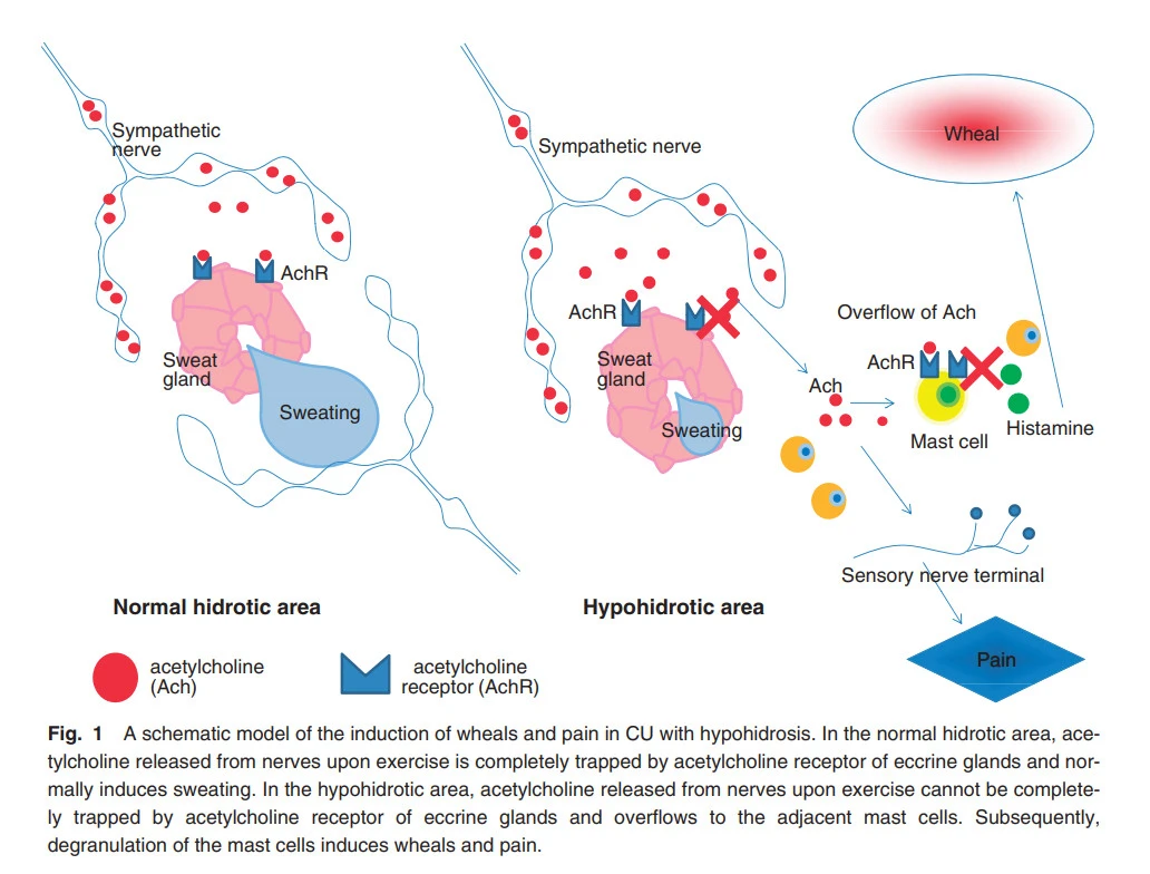 MYnCpc9uZD4Y9Pt8CmFxAdy7NH9uYv_kMUur70VqY414dONW9KOwJhm8wPbxZpsNRFeiZfjF9hw-sc4XMVwsx1Sa9uFDxEyI88Wyr_B1uKbPK3a59p5S5SoRJpTSip7_XHjW_zxl