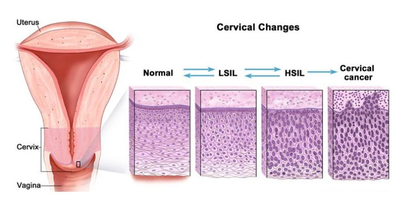 W_Bk8liSe8NnhFlAtM1Zi8pvR-6TbkcNzWbn_NOrq2cjU6bzjXWcaXyJfzGgd_5cUJy5JluARih85u3Aodae_8rdE22rXPVqmGwFXk-6HDYCu4Lyg2ynYLir_Kov4Ww5BcJGuhQ0