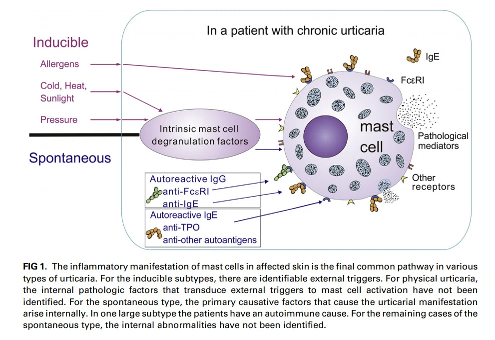 ratYUzNn56LlLy--SUOEa8QTSQU-v6FKn-tBz5UqCKc99ns2T_ZJ7qF-1zRbJ_yEZ8ovnsDxy7uyvIZp3Q_L2nhyXn_3QmNn_i4-ZpysSyG_fuihL9hv5g3XefMnUJnidCKsIxqN
