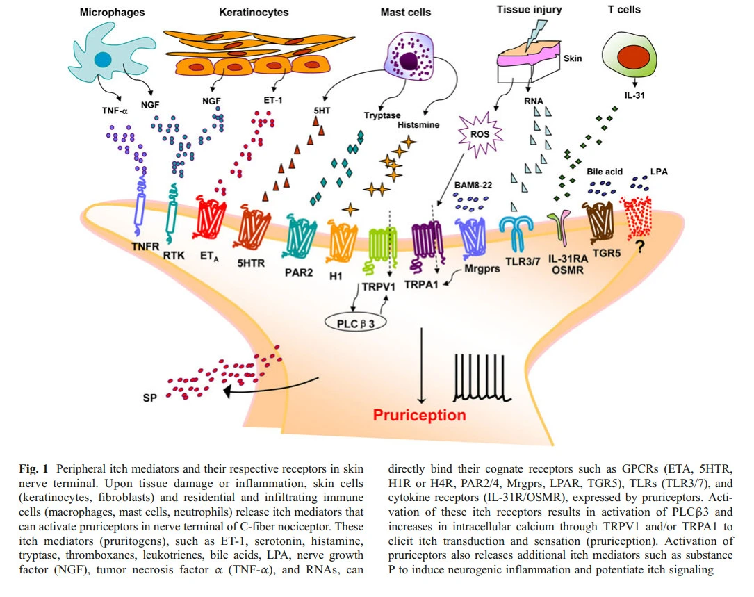 0l767LWzTm_bJtkekvFgiUlw3GMnj7VORuqV9uMgDYpLxe4t-enbvjQqSeXgwUNAKrj_RU-CxWk-9FkOvBE7x5P1dQv_77SkFvTNdnOSQqVjmgM1hfDMMn8GIn515xi5G2OEjZs4
