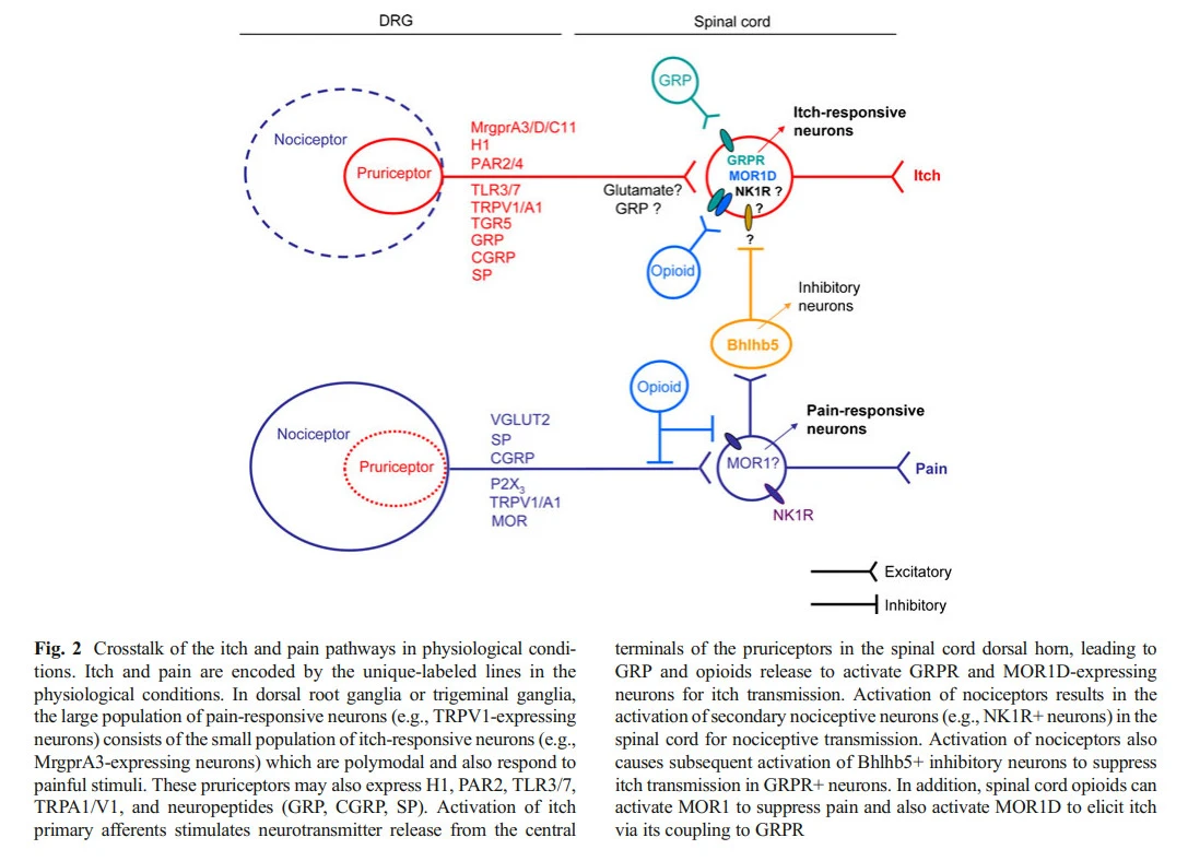 qfq_reFM81uwesGqNQ0MKbW9CCp3iixUDeKqtSymXkNv1Ez71VZJzrEl860p_ylbJan3noQoWdwzNnNDSN_8jCwWulSglSMeR-1rX7TukweA0eKUIvLDh48EDbuIsinn6l1qxynY