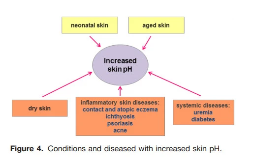 S1kcC21hqk7IFKtueFXsPBdd5JzmPbjv_XL5VAC9ixf_OtzuvohbtHg5bQwjIsyiRO6XabjZE0GuHqW_l0vgxSHs3YGM3z96kwHVc2CFi6dTyTMQkxkm1KuG7jy3KzrStqMp28ud