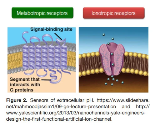 GDREXnuu9pFtztLXVDCUiAQ7ThvYlEb0ifVgoIey-kgBPAbKfmVHgIJPtpuCNHuNCIfsVBbNnvzP5C5pxUxH2D9x1qTgeO0RRpG8PMzaZYflz5KWlteiqF9dvTexrT766AXbQ7uB