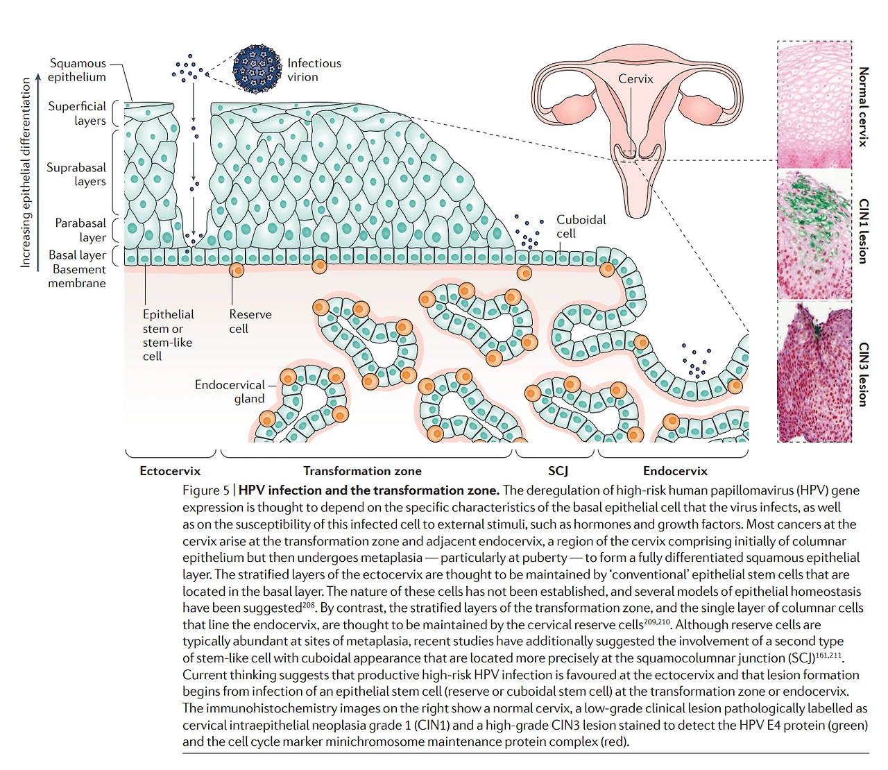 spVsfXVZNsZlWw8U7z51M6xBRr1xb9rDqYF501kYx105AHeBAwKPErLo7BW3r7w9UQuo_HyTTEvH4jlrShkfqj03EPZLZmiF4STWcdlZs7eyhTj3mmnK93eeIH74_HbCEMQ49W7E