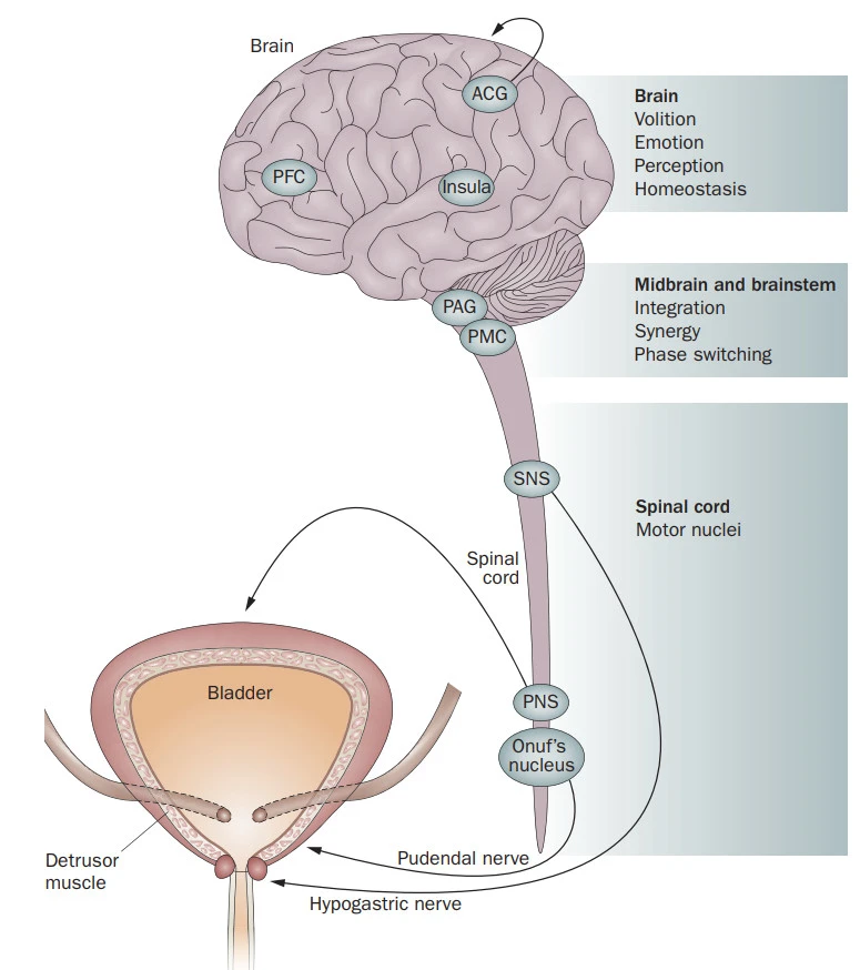 Ssj-Gp0m9WhoVyG-AU9C29aeJV2oajBrzbgxo0PcAw6eI1kb6ysnV2NHmHFOV74FlJOcjKaCHJEPx6KaGfHsbwpwXlHzIHdAbPgf8dmsNsjqLcxD9xpUU-rHaK4FGxG7VXcMdJ-i