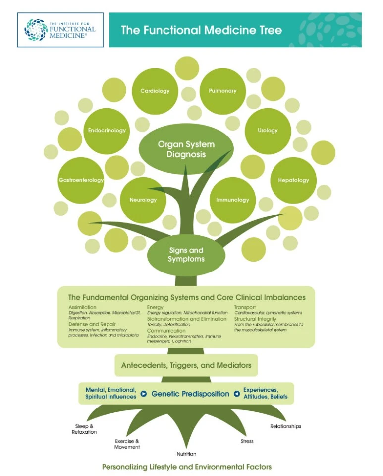 %EA%B8%B0%EB%8A%A5%EC%9D%98%ED%95%99%EB%82%98%EB%AC%B4.jpg?type=w773