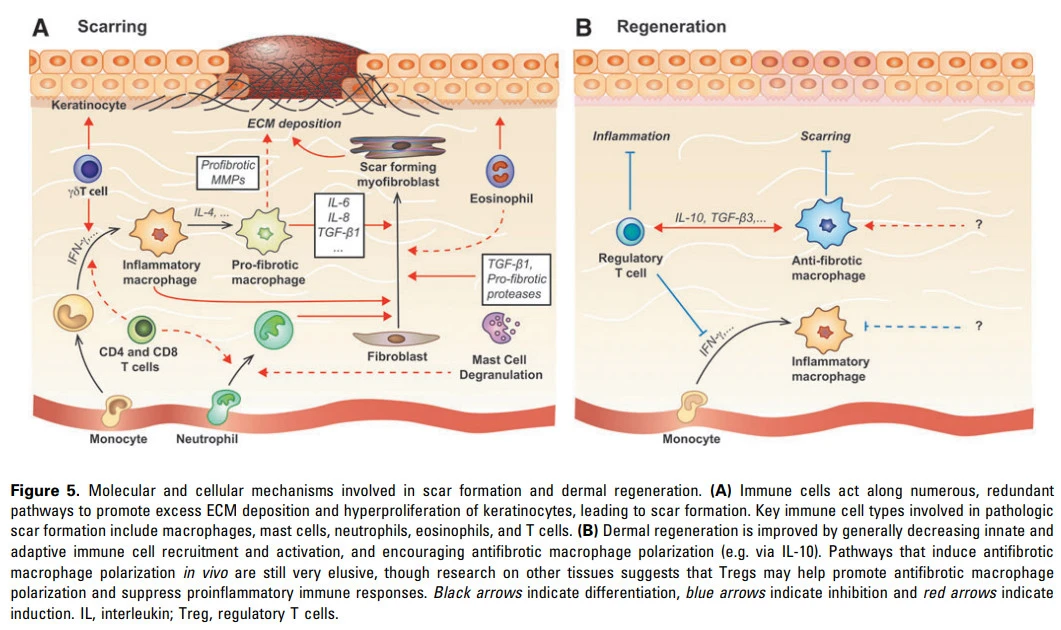 qdefeXeEb0sz8V1BE5EsI3ry1EL21JxBKesI2gzXMqwBzTeBbiynQt7mDkEV-dSUuQ8087GHo71vXPJxm_CTrVGm5ixKuyA5P6druXa56GQkZdRgVzsjE0MpvxBT1KVzIP0TGQ_z