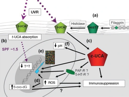 fhMK2131F2WdKZRvhb-jZnt9rDwfLBfE_SiSL_A8-LLEsXuphsn8aPp5JVPcbzFo3HJA6sTp_OFAQhggEfHED_t6A_aGs-0T-Cv1uihHbtqwfEO1FUY4Oxal92WSoV3l9R99yvpE