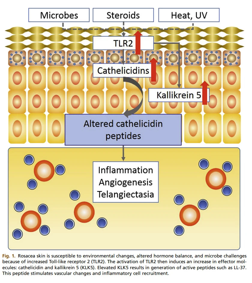 TUlYEHDkmHurvbZ1jOXumVVjOjKduUEP9-DtR20GrpHPTGUDcP3hEvACPuczlzSD2E4zmNbWDMlV1AmmYaJ7-XB2Aicy1ORmsDGc8E9HA61LhHbLH49Y0MxK4VaAKD3HmvKv5q-B