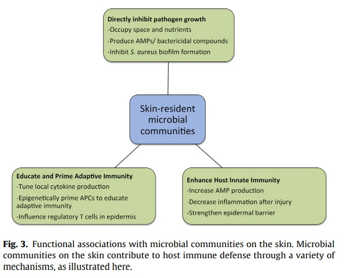 MzdYcy0vBtBsx5RmPGTolsyBTfBvZ-3enQQEdFLhJucw1-5nNX1BdozV0t8bk23t6_oBsCQTfxhs0mzuF_cJur4M0VxM3F2yY3yva3IofP921NvjZzJVTxdq5TJPYOEtivlIl7sA