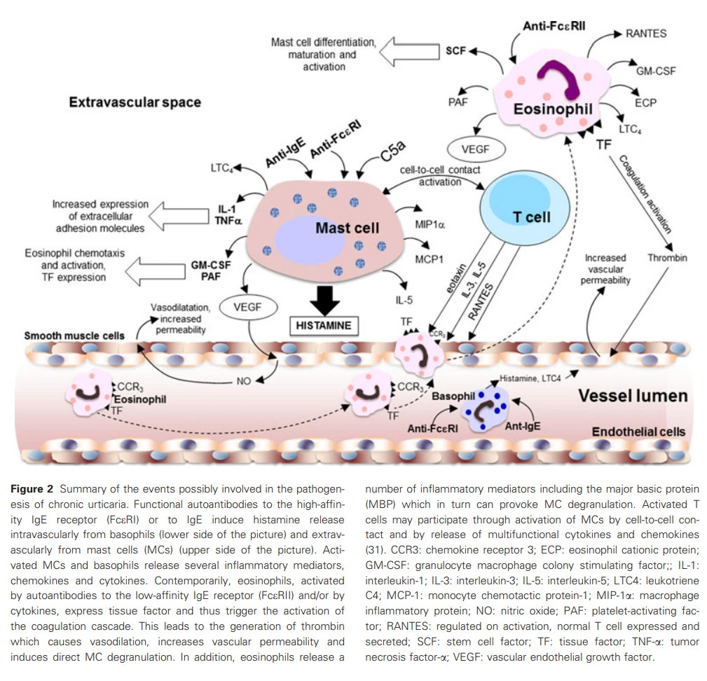 mpgGUJXcQ8abFOJcKd_Q3vjjIpHC92ns2aTYZlCFSOeCUDx3T1W656oYq7lOsfq4AzJEFmXmVdSKeN8faJM5pLZ4C5gQovFt0cVoZZYTXZJ5YGDP9f9ZfxbSw4Uv_iSAwkAfC1Kw
