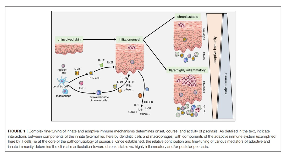 dABouOBYba-eCeJfrh-s88rhwXH0zzCPvTpT2ogH_UQCWnWvM3aGyvQXtqy-Pk8Lzdmq7rEZH4Mrae6NSe_4o3oGodeYEoRUOA3CPs4FLSuMKYv94iGcGc4IWGMJ8sZlqfriv1DO