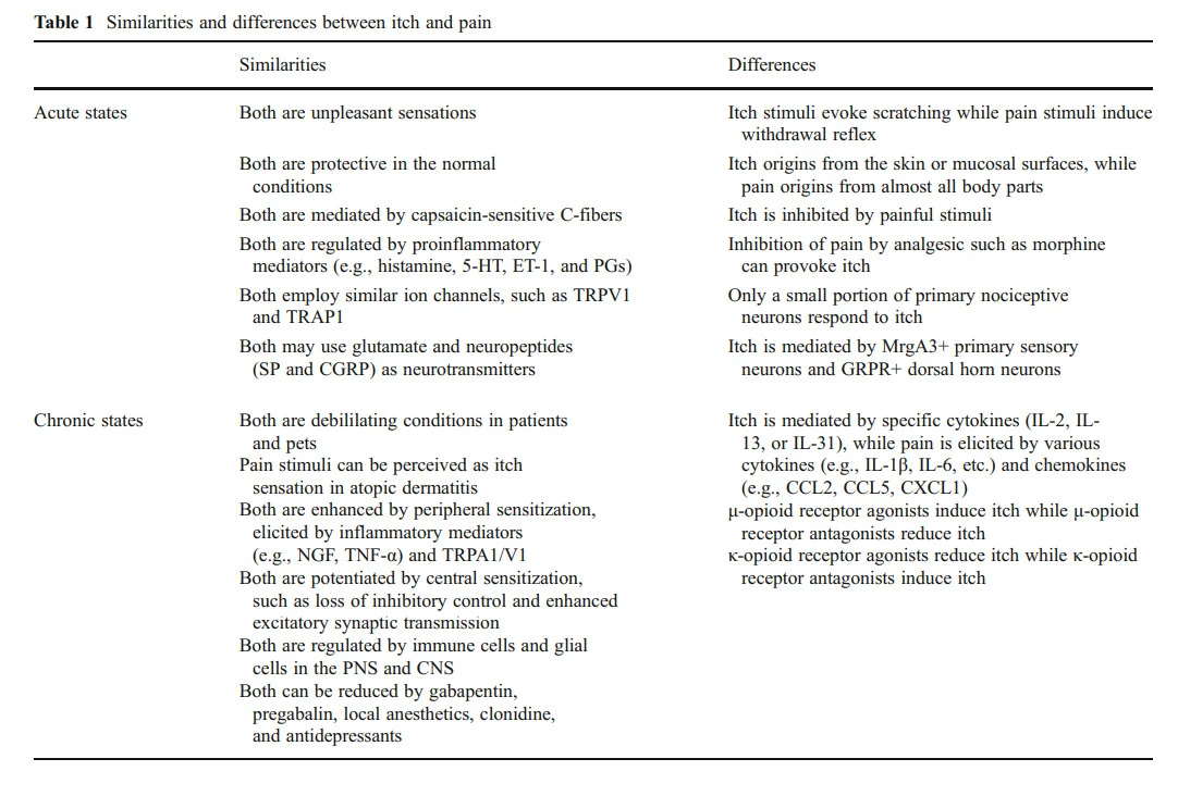 ra4GNkeUtUm2yQmvnhCNfa7dP4HVMhcZaO181vH78Shp5sxMwnlKUzDDVmpVbDZ77qh-3WMz2XNB7hJLI32tnNqlHGsSW9HJrELl676KSnUhA1HcF3TR1VE959Ku1__4TsaZekF8