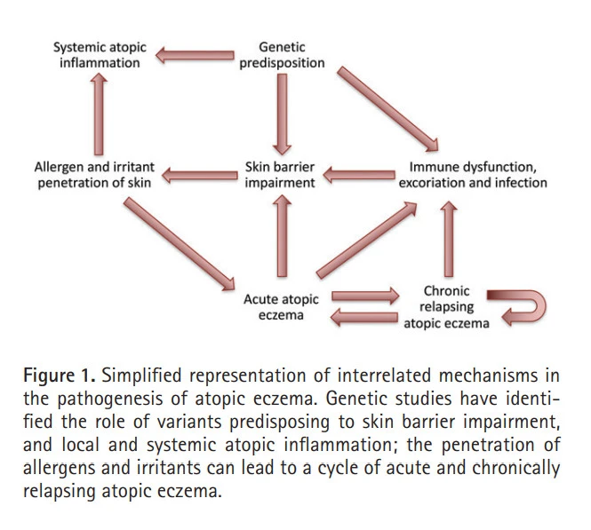 fPeK_pnTkxIuzkz0K5oGiy9AyKRqu8rkTQbFKyCO7F60Dz3158siTVJuw77pC2-UfZo0kh_YAefsA4WtIjRH9TPRybhcQYhQQNhIAmDI1Xvft4qxbyjcDsHsWWEs2v7ug0QYvZL0