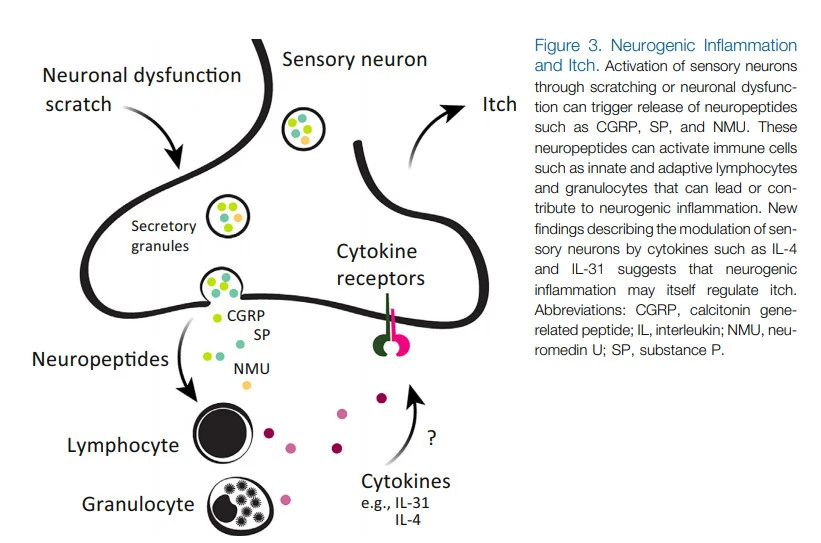GF-Pyqh0R-n3pweyjmbKVTAVwuMEkt81AAxD14uAhUvO7hnJtpTuvBKUziv1MdqpS8oDQgZd0cat4NImbRbwaiP5nK83rNA7GichxZupeANHtmGg8-XDB5xXlZumPRbVjhg2LUDI