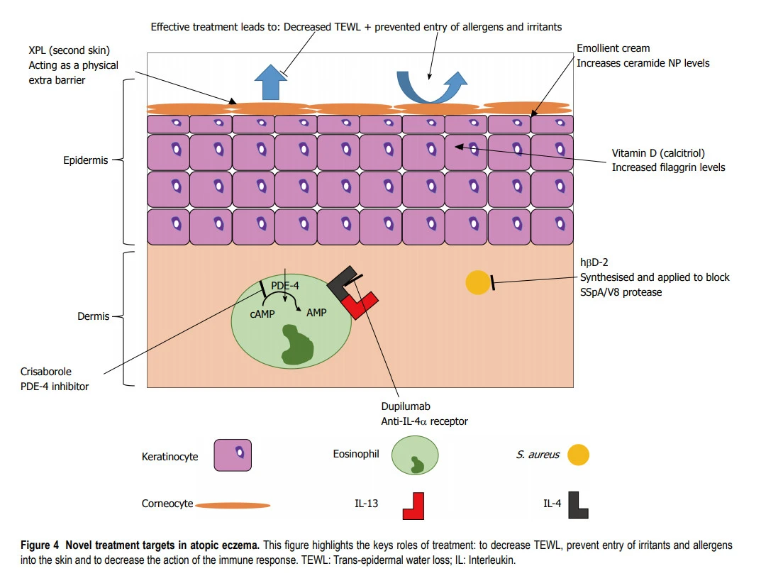 HADG8dwvXtxmWQf1nvX6IFJKiQtj06g2zQu679AMEWiSSJkccVJtw_ochTC1FAuMsMxLjzCR40A4-KHhzkXXH6JGDYORCJwSLGO5pcoIrsePM85re5jJWpU0xoNW6YESXj0RGZoU