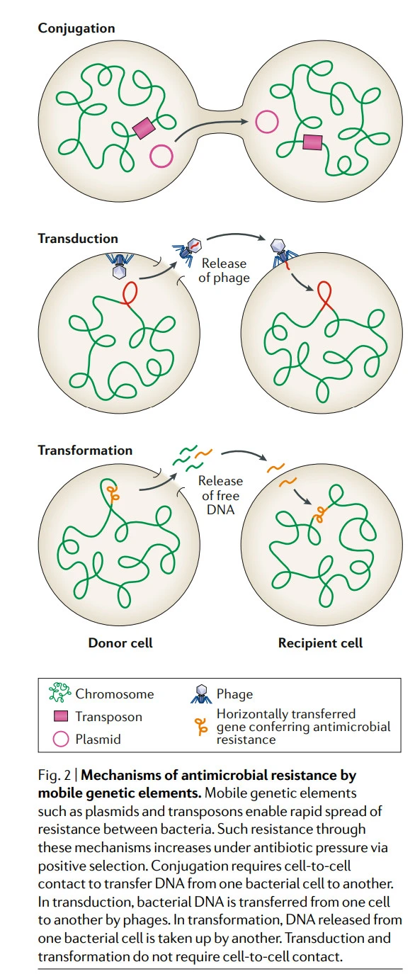 xnv4Dcxr_l_6-9VmwWxEKnJzmjje-si2uoAZyllGtKmQatwo6tX8j56mBq8jl5Bh5lYdPkqd80HWOIkEKfGFArf30qhV5A0yzYnKGFkxUzVyIqPaP3wVY8Wsv7ifS6Slr9-xT_rT