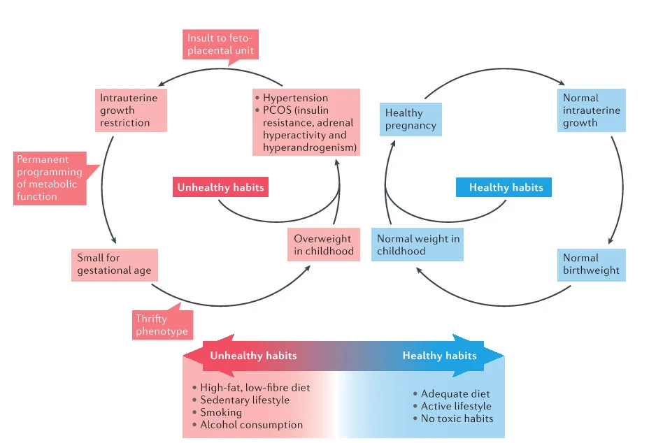 RAB1kb4MKG0wcRb4ZXSvQ_VGsRPWsvs10fPM2nmyTzdF5P-HWjwM051qbiIgxD5PtJUxfNcZI-asGHty2FL-5vPWzSCas8LifaD7C1HIFomIbtyvoubUPbfCU3hKg7CuJPldZC8G