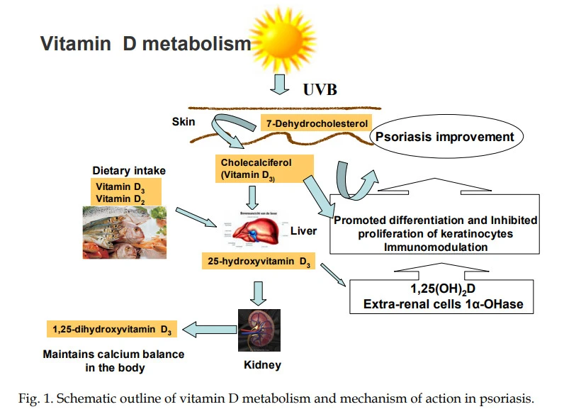 ZOPhVVI5w8bKQgFPDdwOItR22NK-OTsZY_3PGSvlg75fU3mY_4OyFEmRgvubfbitb6SeZYuD5ZorHhrRDm3VfBCZhoHVv7uprwIsMNgUsBiEXnacwmM2kRw7hrMYp_C-HTM23Q94