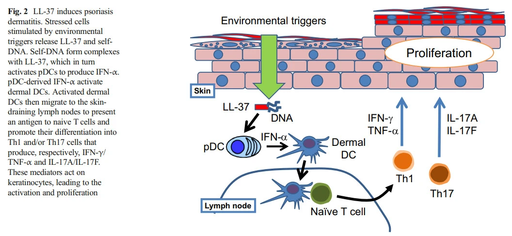 kixMqWMP_8isPtYRKGndv6rLMCrXUroMzIcT_xxtiNUTA4fn6hiew6xjOlQekx_vI3bdfxyUAINTJZ3I0tWA-omkiq8vsNF4J9BCxBWAXskFSVLnttCtwCr8UHxoiZUDi1P8p9jC