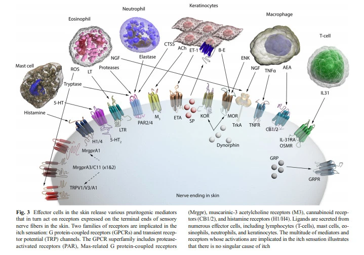 sELEGkZ3T12a4_qYhEKnFVp2oSK6fnyNhG3weR7uWN2umacrGHiF4t51SRj3QWq8fkorcDGn6Xjcg2jA-XErTdkSssfRkVtw6_c3nBKs89o5SNUEwmHPdy0v7_PxPXBfDkFj7SOZ