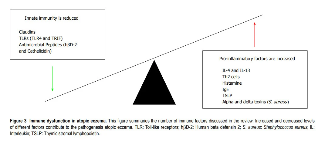 8t-ATYrTpL2QIOLs0GSnFD4zf7lGcw-IIEqyOH41rdr2dP9Qtt7sV5rV9w9WH3OZEFOC8s9lxsAZs8fHua425FicfX2JwubWVy7GibDXX5WESt506wfzV2G6LfXMjTRDjiLaqwVl