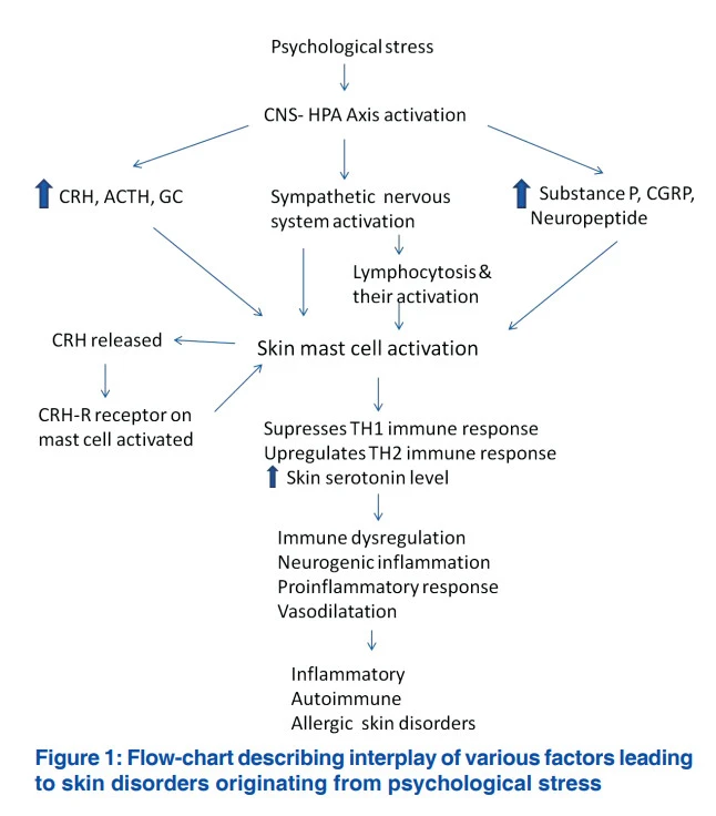 n0Ao3VyNiOkpqN9VrMGsjxMdutk_RqcwRMIiyPXfSb22jhafXP04UmkzM2jo0TZQ4rKPgmgcLzu-Ju_a-dov3576d-JwigNj362Tk494uHxpy7CR1K1Fl-074h0p6-qewsXQinPV