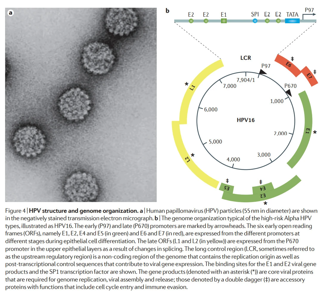 tibvkPfEUnSLtx9mxOLSSmpZ_pui3OdiIxuAOQwxTWmuj20kAGs0HxIzA8-5pfU9ZfR6xODdAhB9Mo8PNnYhubypG5hriqzuANhdfb6sIF1gmhnx6UZWW_uPZtP9QBgeZHrjOUm6