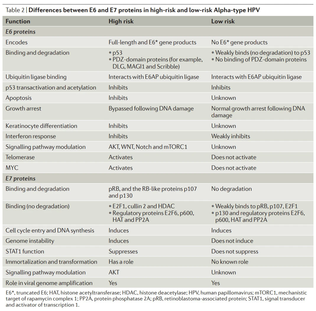 uc63aopw_ZLzd27yJ0L2rwVhQuxZQ6t0vJQ3wkNVV2DdGC3efM60w6q2vnwe0pEGrPqKZNbRo6cuJQiCje8xPX-swMokZv12vucQps3vRZ3Sg0qwa-8hIXHZQC0TCU2Njyg-Jy0e