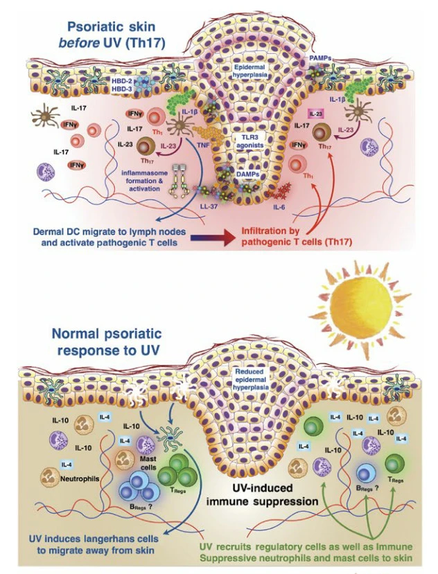 8noxXD5qFJKS862h1RvfYMLXmIhb3LxA4W5h7ofygOKa5tUJn2G3ozuL48ffABDYOz3lsC4cECpAdrsw_wA6CUBPmZKK6bAbUUIPI5MqJdUNPxxZIXIEmyZeE5VSENccVdM1x8HQ